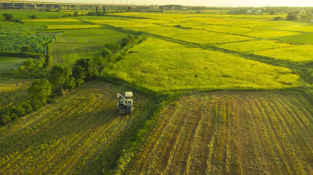 8188cc威尼斯(中国)有限公司官网