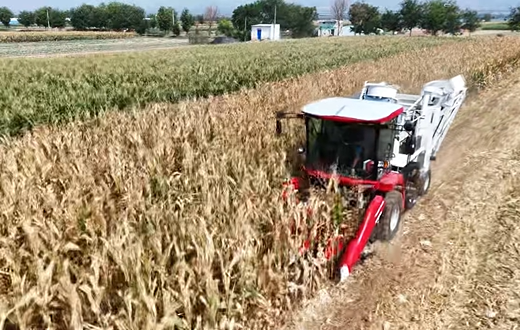 8188cc威尼斯(中国)有限公司官网