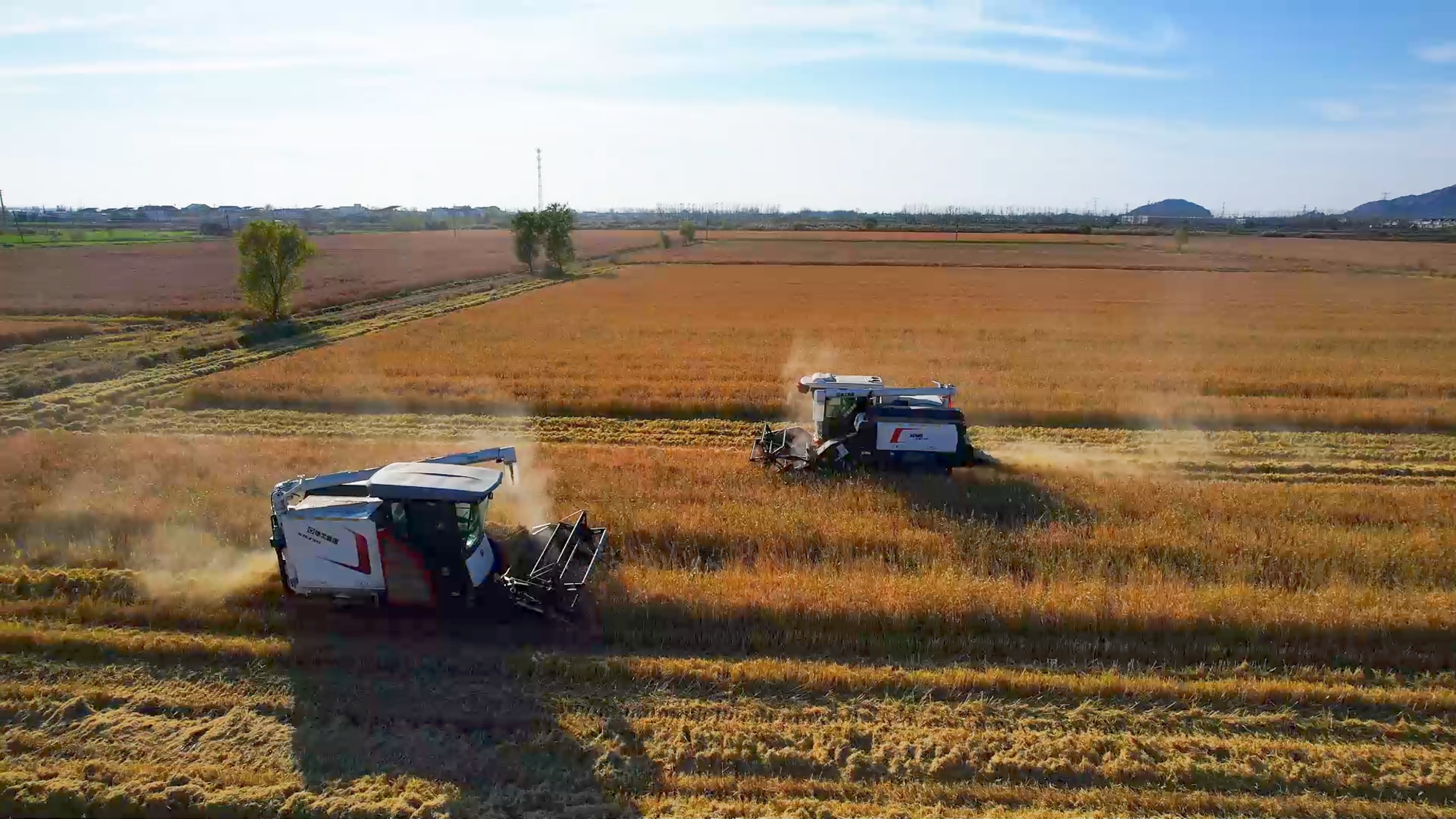 8188cc威尼斯(中国)有限公司官网